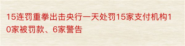 15连罚重拳出击央行一天处罚15家支付机构10家被罚款、6家警告