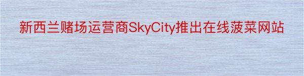 新西兰赌场运营商SkyCity推出在线菠菜网站