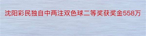 沈阳彩民独自中两注双色球二等奖获奖金558万