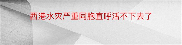 西港水灾严重同胞直呼活不下去了