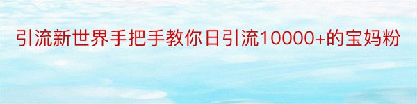 引流新世界手把手教你日引流10000+的宝妈粉