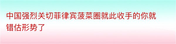 中国强烈关切菲律宾菠菜圈就此收手的你就错估形势了