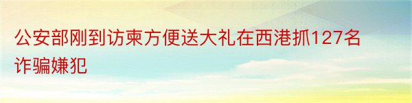 公安部刚到访柬方便送大礼在西港抓127名诈骗嫌犯