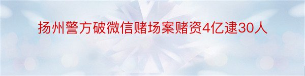 扬州警方破微信赌场案赌资4亿逮30人