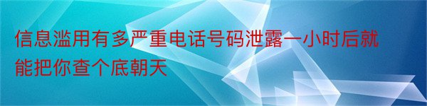 信息滥用有多严重电话号码泄露一小时后就能把你查个底朝天