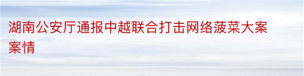 湖南公安厅通报中越联合打击网络菠菜大案案情