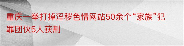 重庆一举打掉淫秽色情网站50余个“家族”犯罪团伙5人获刑