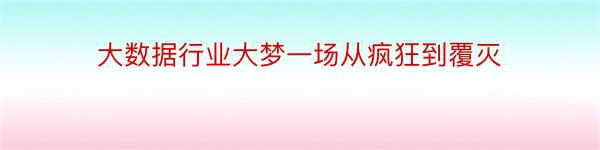 大数据行业大梦一场从疯狂到覆灭