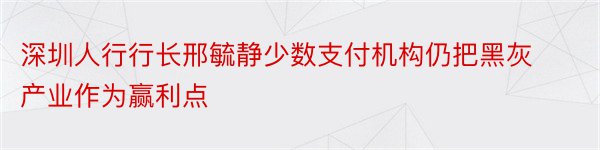 深圳人行行长邢毓静少数支付机构仍把黑灰产业作为赢利点