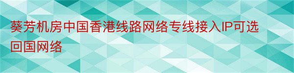 葵芳机房中国香港线路网络专线接入IP可选回国网络