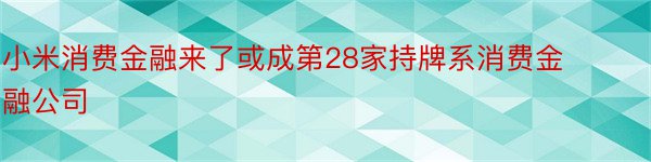 小米消费金融来了或成第28家持牌系消费金融公司