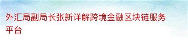 外汇局副局长张新详解跨境金融区块链服务平台