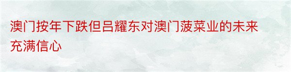 澳门按年下跌但吕耀东对澳门菠菜业的未来充满信心