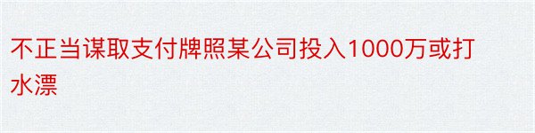 不正当谋取支付牌照某公司投入1000万或打水漂