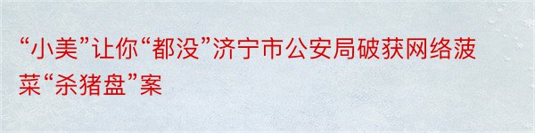 “小美”让你“都没”济宁市公安局破获网络菠菜“杀猪盘”案