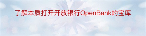 了解本质打开开放银行OpenBank的宝库