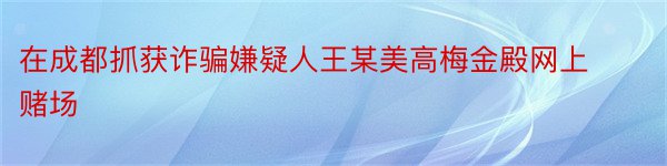 在成都抓获诈骗嫌疑人王某美高梅金殿网上赌场