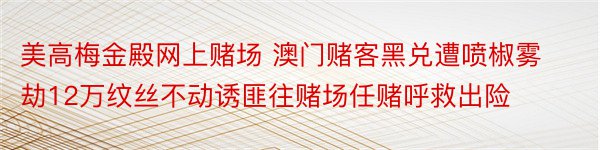 美高梅金殿网上赌场 澳门赌客黑兑遭喷椒雾劫12万纹丝不动诱匪往赌场任赌呼救出险